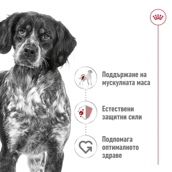 Royal Canin Medium Adult - суха храна за израснали кучета от средните породи, 15 кг + ПОДАРЪК Medium Adult Pouch 10х140 г