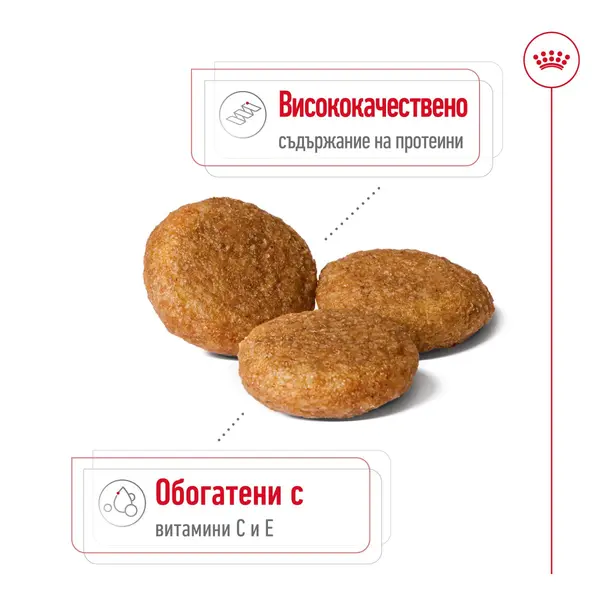 Royal Canin Medium Adult - суха храна за израснали кучета от средните породи, 15 кг + ПОДАРЪК Medium Adult Pouch 10х140 г