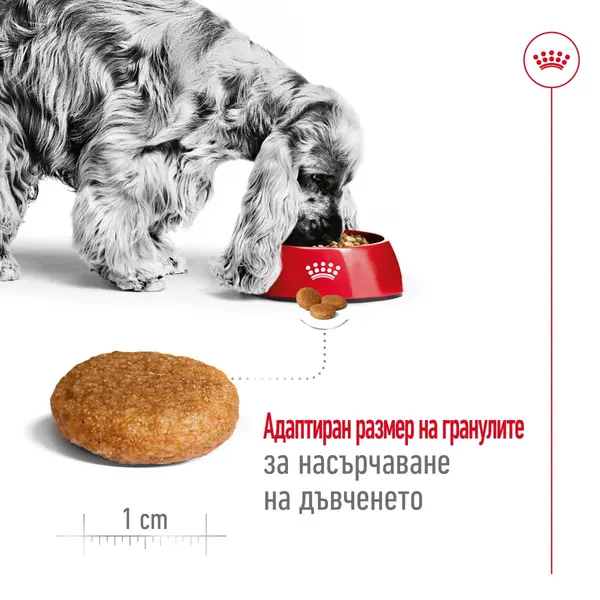 Royal Canin Medium Adult - суха храна за израснали кучета от средните породи, 15 кг + ПОДАРЪК Medium Adult Pouch 10х140 г
