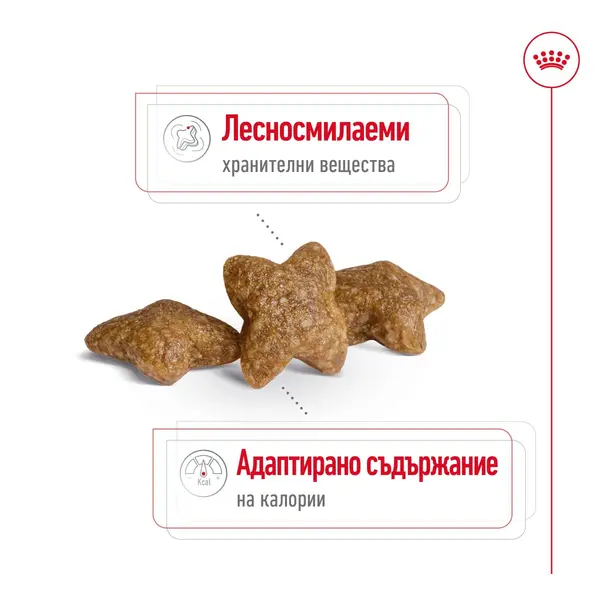 Royal Canin Mini Adult - суха храна за израснали кучета от малките породи, 8 кг + ПОДАРЪК MINI ADULT POUCH 12x85g