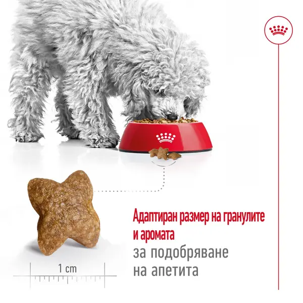 Royal Canin Mini Adult - суха храна за израснали кучета от малките породи, 8 кг + ПОДАРЪК MINI ADULT POUCH 12x85g