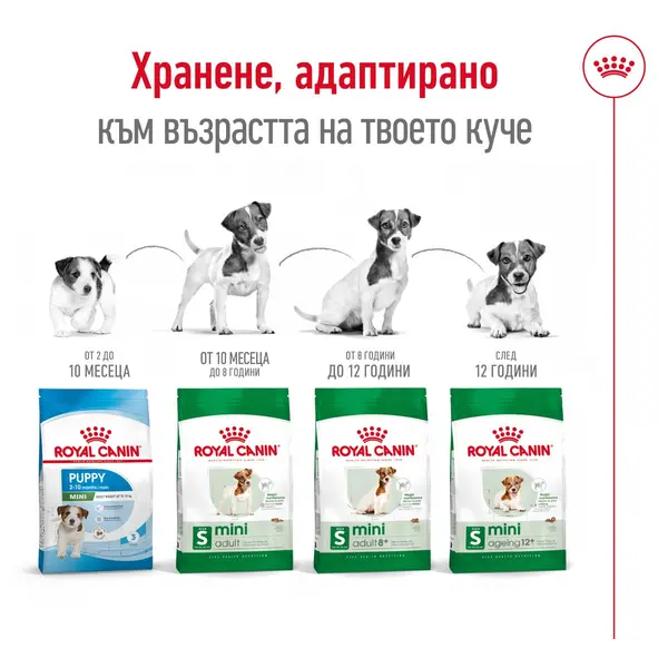 Royal Canin Mini Adult - суха храна за израснали кучета от малките породи, 8 кг + ПОДАРЪК MINI ADULT POUCH 12x85g