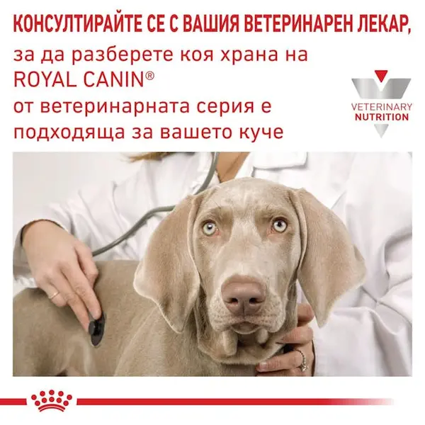 Royal Canin Renal Dog -  лечебна мокра храна за кучета с бъбречна недостатъчност - 410 г