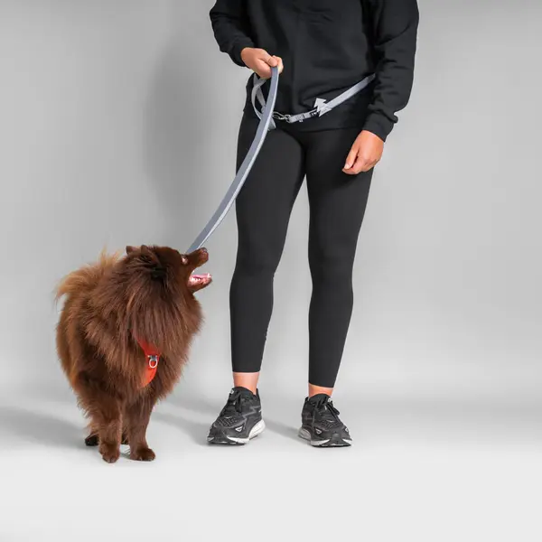 Hurtta Multilong Leash - Дълъг повод закучета, цвят сив, 100 - 300 см / 20 мм