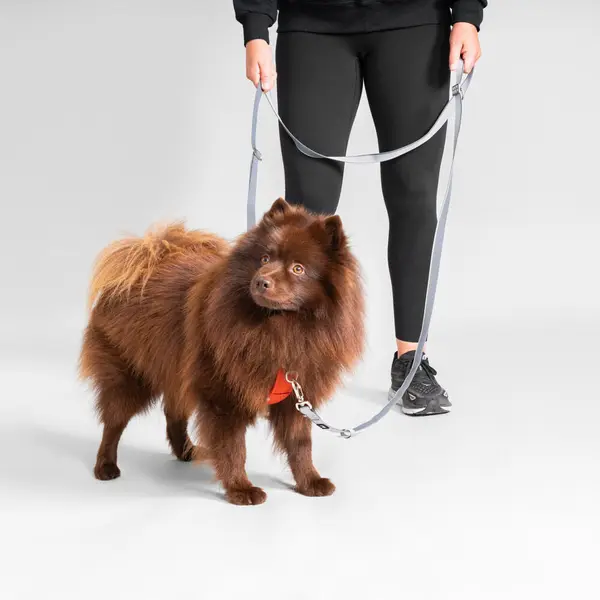 Hurtta Multilong Leash - Дълъг повод закучета, цвят сив, 100 - 300 см / 20 мм