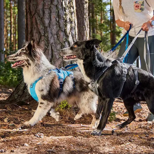 Hurtta Multilong Leash - Дълъг повод закучета, цвят сив, 100 - 300 см / 20 мм