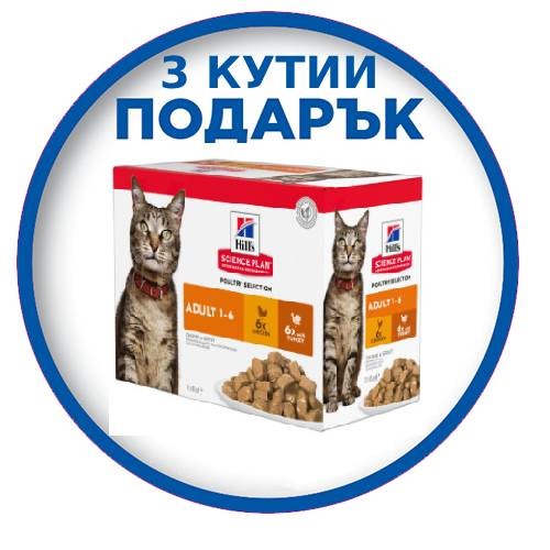 Hill's Culinary Creations Cat Ad 10 kg + 3 x 12 pouches