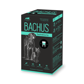 BACHUS TEETH&GUMS - 60 таб. - заздравява зъбите и венците, предпазва от зъбен камък