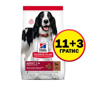 Hill's Science Plan Canine Adult Medium Lamb - кучета от средни породи с агнешко - 14 кг  - НА СПЕЦИАЛНА ЦЕНА 11+3 кг ГРАТИС