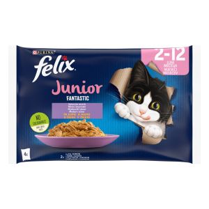 Felix Fantastic Junior Multipack - паучове за котенца с пиле/сьомга в желе 4бр x 85гр