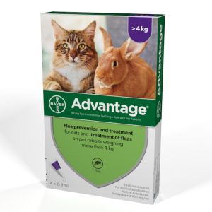 Advantage® 4 бр. пипети обезпаразитяващ спот он за котки и декоративни зайци 4 - 8 кг