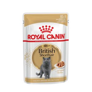 Royal Canin British Shorthair - пауч за породисти котки 12 бр. x 85 гр.