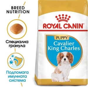 Royal Canin Cavalier King Charles Puppy - за подрастващи кучета от породата Кавалер Кинг Чарлз - 1.5 кг
