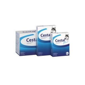 Cestal Plus - овкусени таблетки за вътрешно обезпаразитяване на куче
