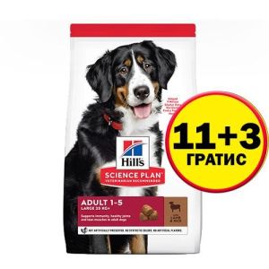 Hill's Science Plan Canine Adult Large Breed Lamb & Rice - кучета от едри породи с агнешко - 14 кг  - НА СПЕЦИАЛНА ЦЕНА 11+3 кг ГРАТИС
