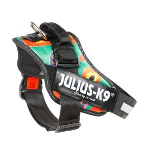 Julius K9 IDC Powerharness - нагръдник цвят Reggae Canis различни размери