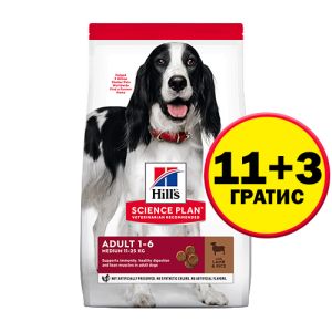 Hill's Science Plan Canine Adult Medium Lamb - кучета от средни породи с агнешко - 14 кг  - НА СПЕЦИАЛНА ЦЕНА 11+3 кг ГРАТИС