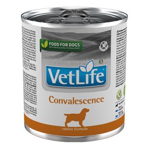 Farmina Vet Life Convalescence - пълноценна диетична храна за кучета за хранително възстановяване, реконвалесценция 300гр