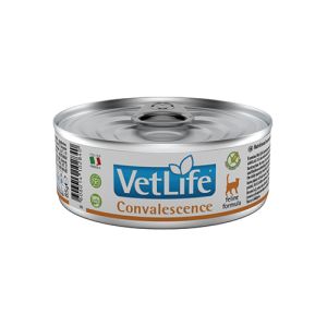 Farmina Vet Life Feline Convalescence –  Пълноценна диетична храна за котки за хранително възстановяване 85г