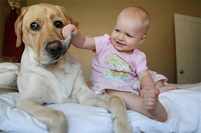 Куче и бебе у дома